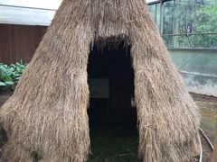 -上海都市菜园
