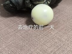 -邦泰·异宠动物医院
