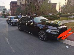 -蚂蚁婚车