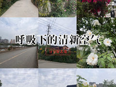 -三圣花乡旅游区
