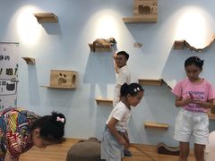 -猫冇咖·家门口的撸猫馆(大融城店)