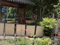 -后湖小院·乡野田园菜