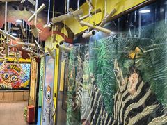 -杨梅红艺术教育(万象城校区)