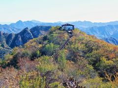 -大岭沟猕猴桃谷风景区