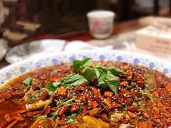 杨记招牌鱼-杨记隆府(时代天街店)