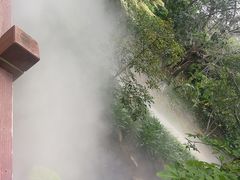 -厦门园林博览苑