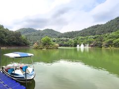 -广州白江湖森林公园