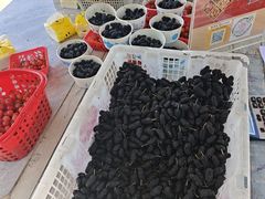 -桃源山庄·摘樱桃·柴火鸡·烧烤团建(龙泉山店)