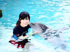 -新加坡水上探险乐园
