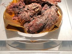 -青藏高原自然博物馆