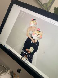 -北遇映画PHOTO GRAPHY STUDIO