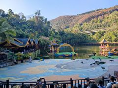 -西双版纳原始森林公园