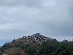 -梧桐山风景名胜区