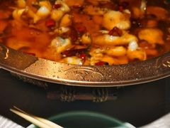 -雲蜀龙阁·金牌水煮鱼(方庄店)