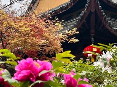 -龙华寺