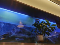 -老板恋上鱼(印象城店)