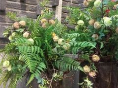 -陶然居·重庆菜(解放碑店)