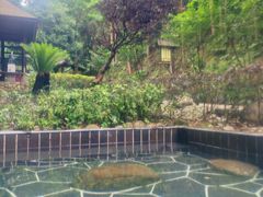 -明月山天沐温泉度假村