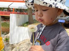 -向外鱼乐·土菜·虹鳟鱼