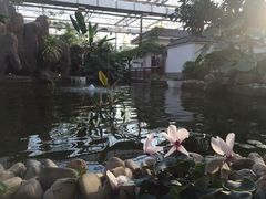 -汤山翠谷生态餐厅