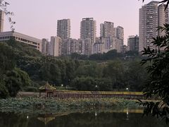 -龙头寺公园