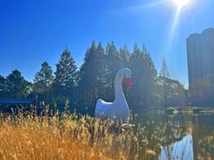 -宁波儿童公园(鄞州区)