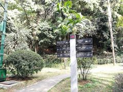 -西樵山风景名胜区-天湖公园