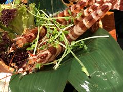 -大红袍火锅料理(尖沙咀店)