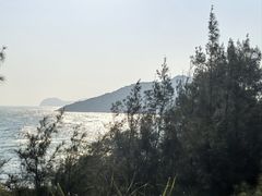 -广东惠东海龟国家级自然保护区