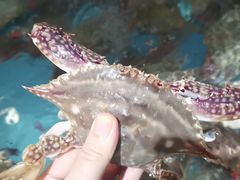 -蓝珊海鲜澳洲和牛自助餐厅