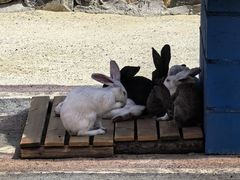 -博山九龙峪风景区