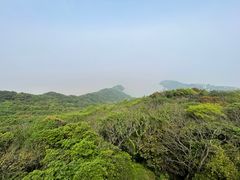 -普陀山风景区-佛顶山