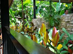 -植物园哈利亚餐厅