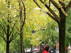 -西湖外事游船(花港观鱼码头)