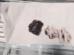 -关爱动物医院·心脏·中兽医·异宠(金牛路分院)