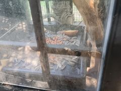 -青岛鑫江温德姆酒店
