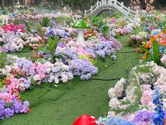 -洛阳白云山景区