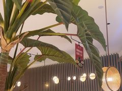 -船歌·鱼水饺青岛菜(恒隆广场店)
