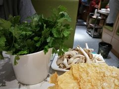 -古乐牛香·鲜牛肉牛杂火锅(新区店)