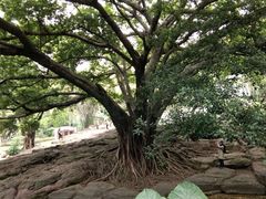 -晓港公园