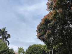 -仙岳公园