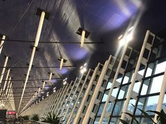 -星巴克(浦东机场T1国际27号口店)