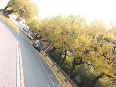 一食堂前-吉林大学(南岭校区)