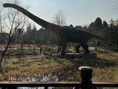 -自然谷恐龙园