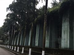 -重庆海昌加勒比海水世界