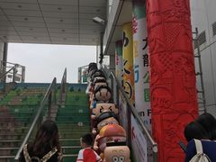-九龙公园
