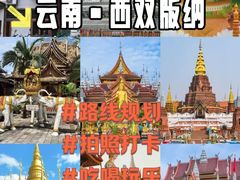 -西双版纳原始森林公园