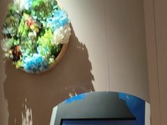 -金色印象·4K影院式足体养生(南坪桃源店)