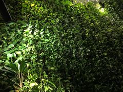 -外婆家(杭州马塍店·杭帮菜名店)