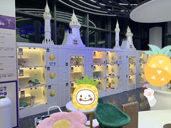 -小猫来了·猫舍(红山六九七九店)